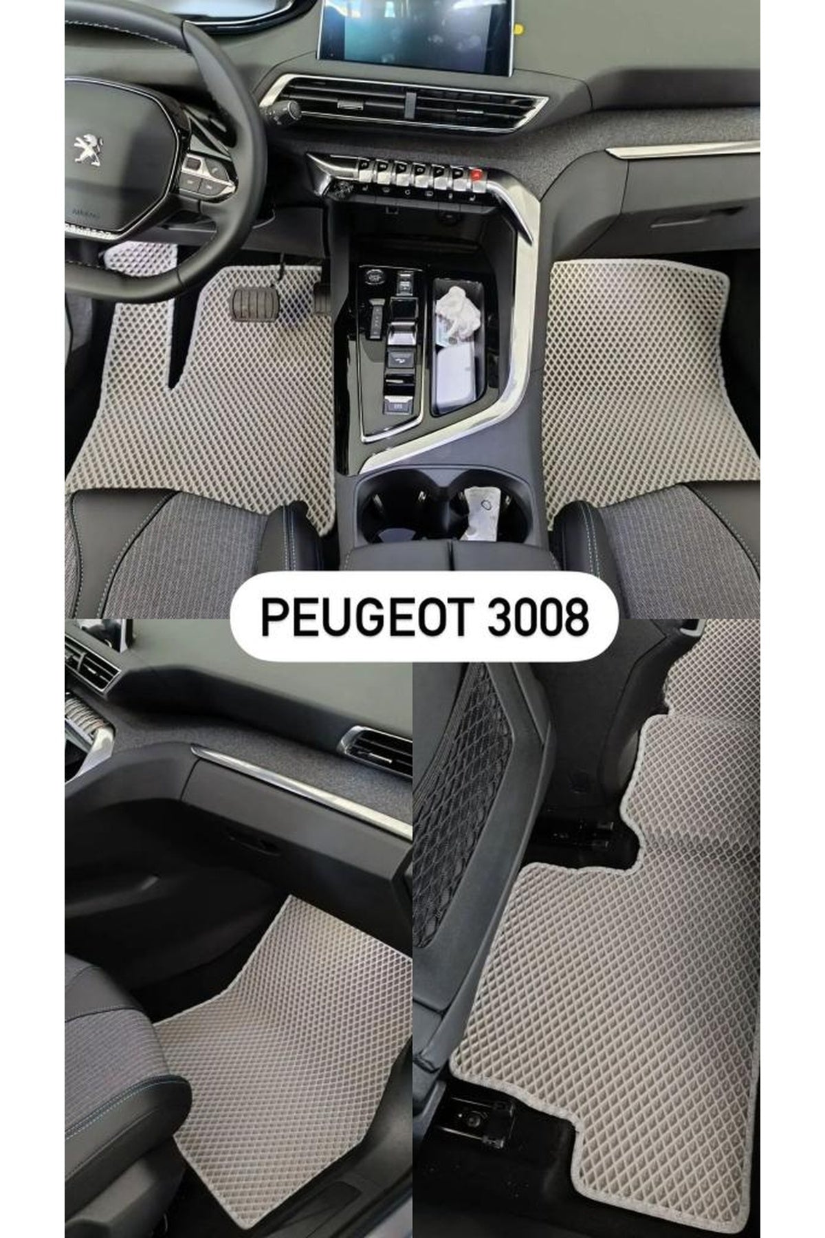 PEUGEOT 3008 AKILLI OTO PASPAS